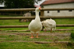 201209220036.JPG
