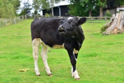 201209220064.JPG