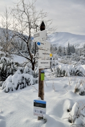 201301080014.jpg