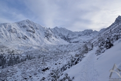 201301080036.jpg