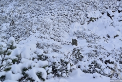 201301080037.jpg