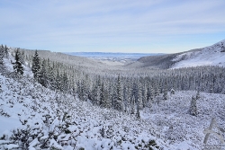 201301080038.jpg