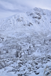 201301080047.jpg