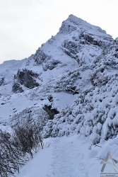 201301080050.jpg