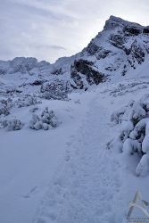 201301080056.jpg