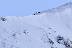 201301080087.jpg