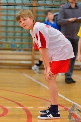 201302220059.jpg