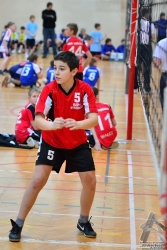 201302220070.jpg
