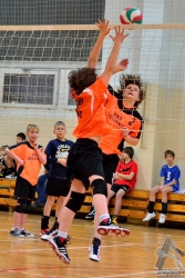 201302220141.jpg
