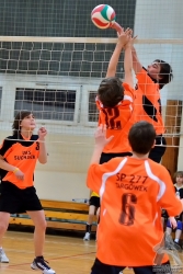 201302220149.jpg