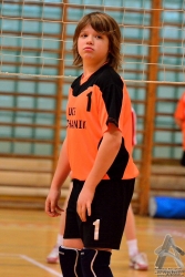 201302220172.jpg