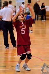 201302220178.jpg