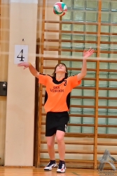 201302220191.jpg
