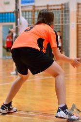 201302220207.jpg