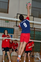 201302220242.jpg