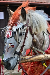 201305260005.JPG