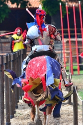 201305260053.JPG