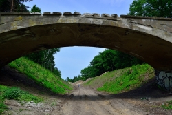 201306020008.JPG