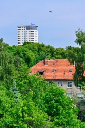201306020016.JPG