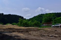 201306020019.JPG