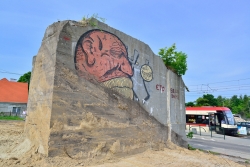 201306020039.JPG