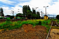 201306160116.JPG