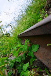 201306160119.JPG