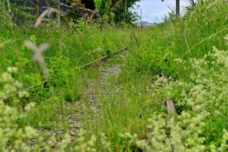 201306160120.JPG