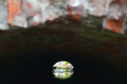 201306220008.JPG