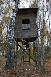 201310250030.JPG