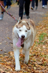 201311030047.JPG
