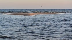 201403090013.JPG
