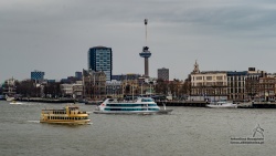 20180402_1408_172.jpg