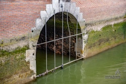 20180402_1430_185.jpg