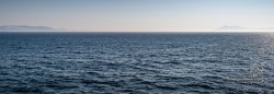 20180824_0943_139.jpg