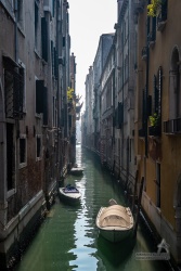 20190303_1325_069.jpg