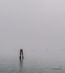 20190304_1156_128.jpg