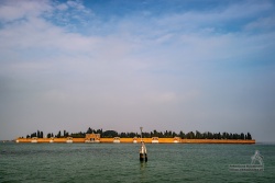 20190304_1325_141.jpg