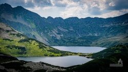 20200807_1307_039.jpg