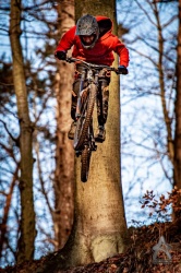 20201231_1037_004.jpg