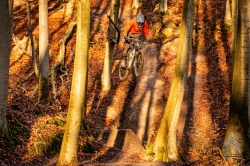 20201231_1050_010.jpg