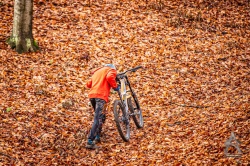 20201231_1102_013.jpg