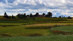 20140622_1050_022_01.JPG