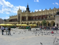 200506180012.JPG