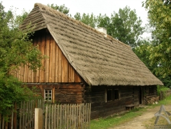 200607010011.JPG