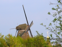 200704190018.JPG