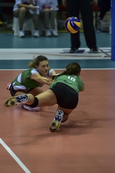 20150110_1523_040.JPG