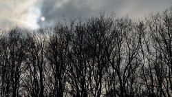 201403020038.JPG