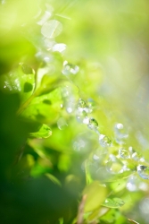201406150020.JPG