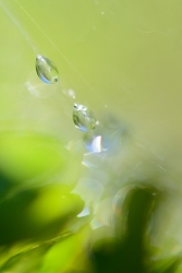 201406150021.JPG